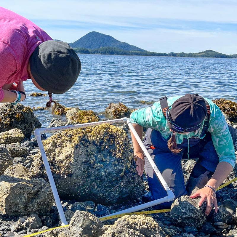 studying marine science in the field in coastal Alaska