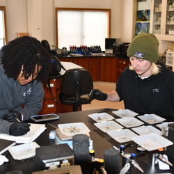 Two people in lab looking at starfish samples. 