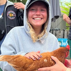 girl holding a chicken