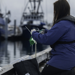 Girl sampling water at the boat harbor.