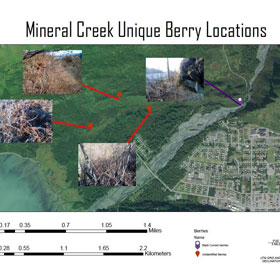 Mineral Creek unique berry locations
