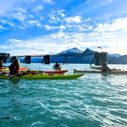 Several people in kayaks on the ocean. 