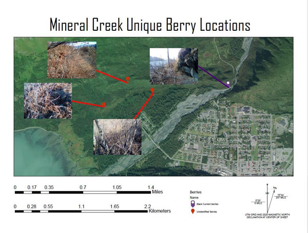 Mineral Creek Berry Locations