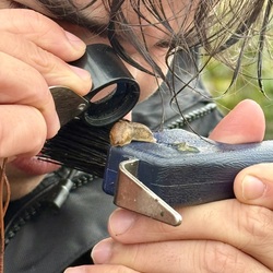 Student examining a slug. 